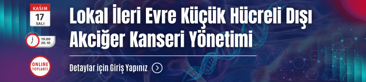 17 Kasım 2026